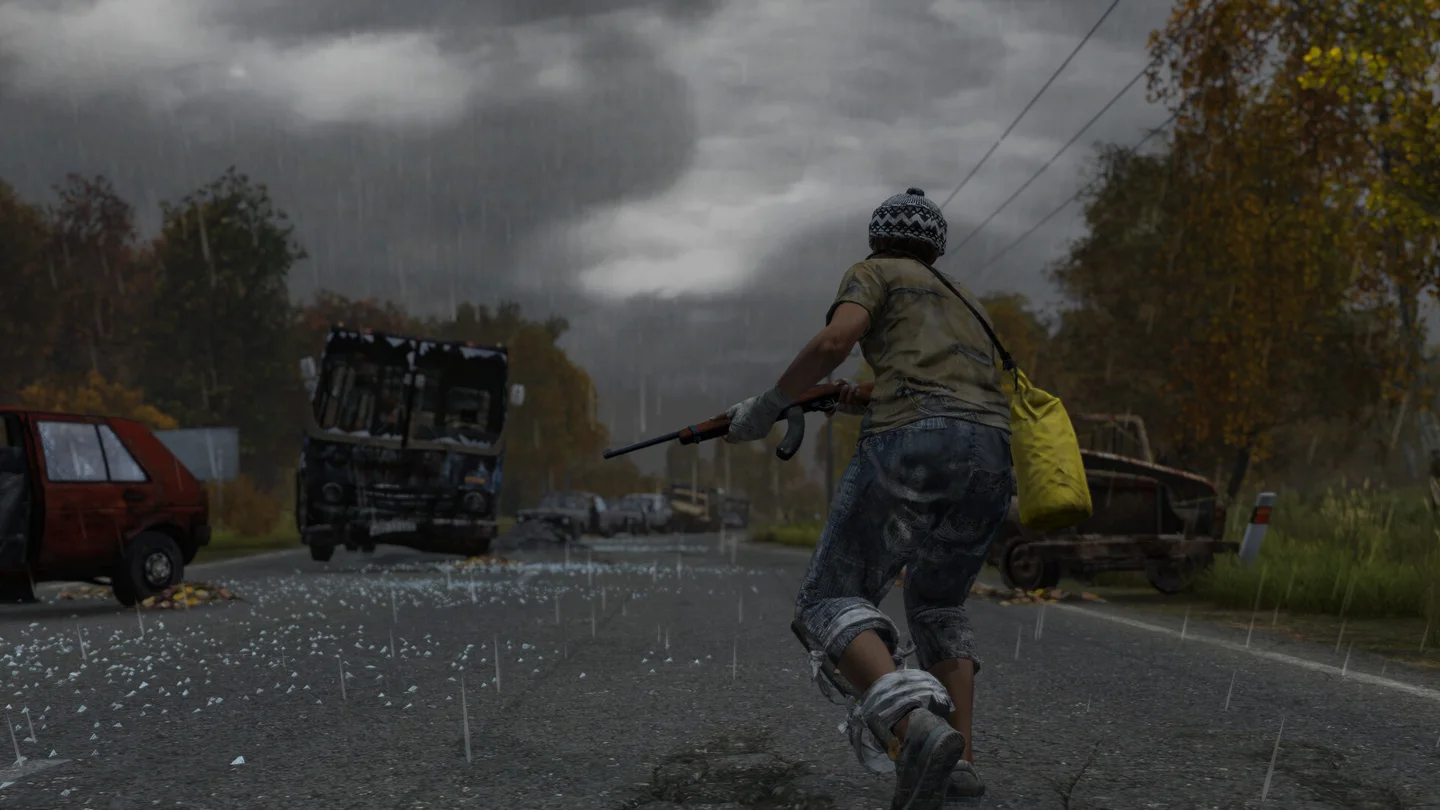 DayZ · resmî mağaza görseli