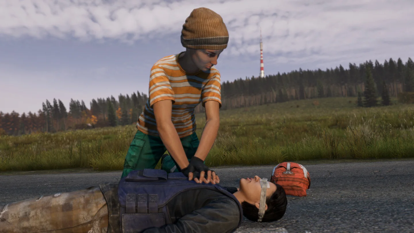 DayZ · resmî mağaza görseli